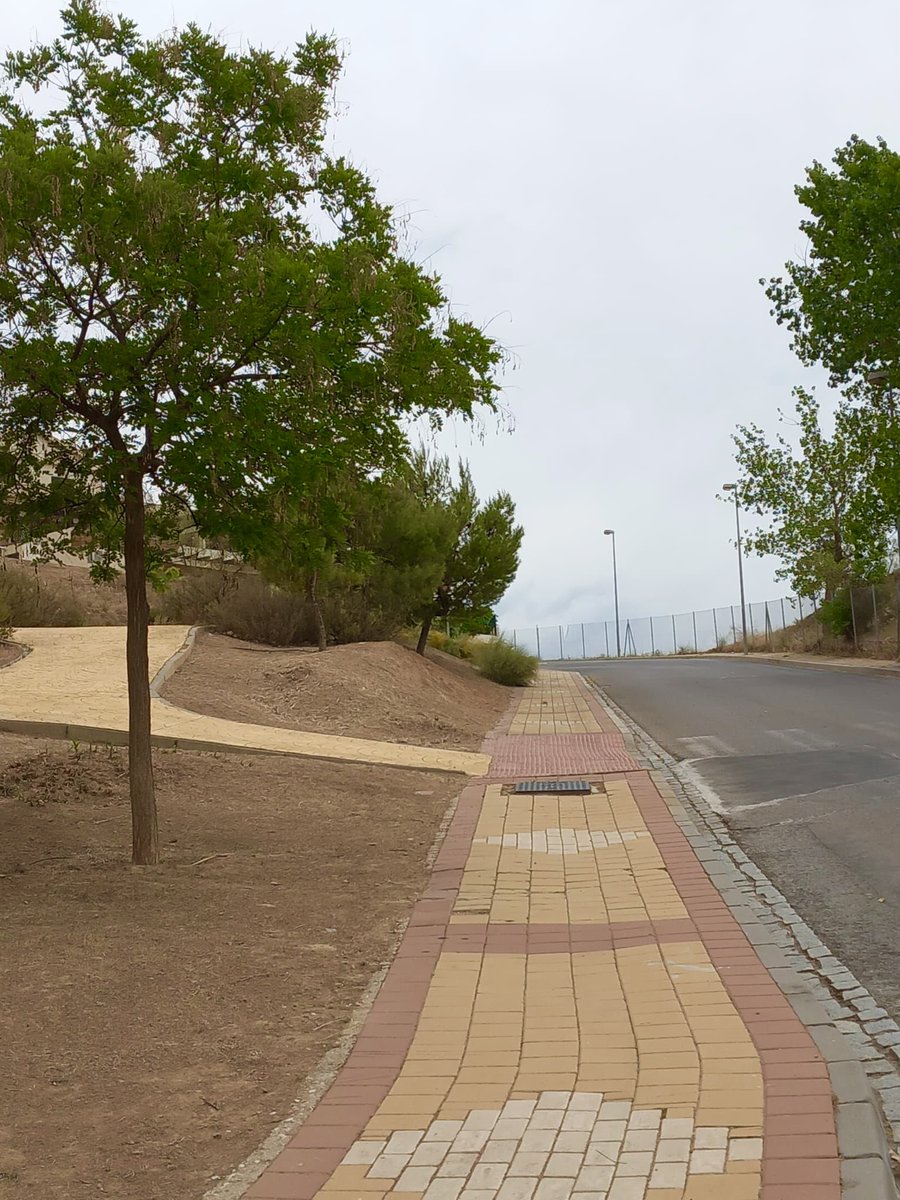 Aurora Suárez tweet media