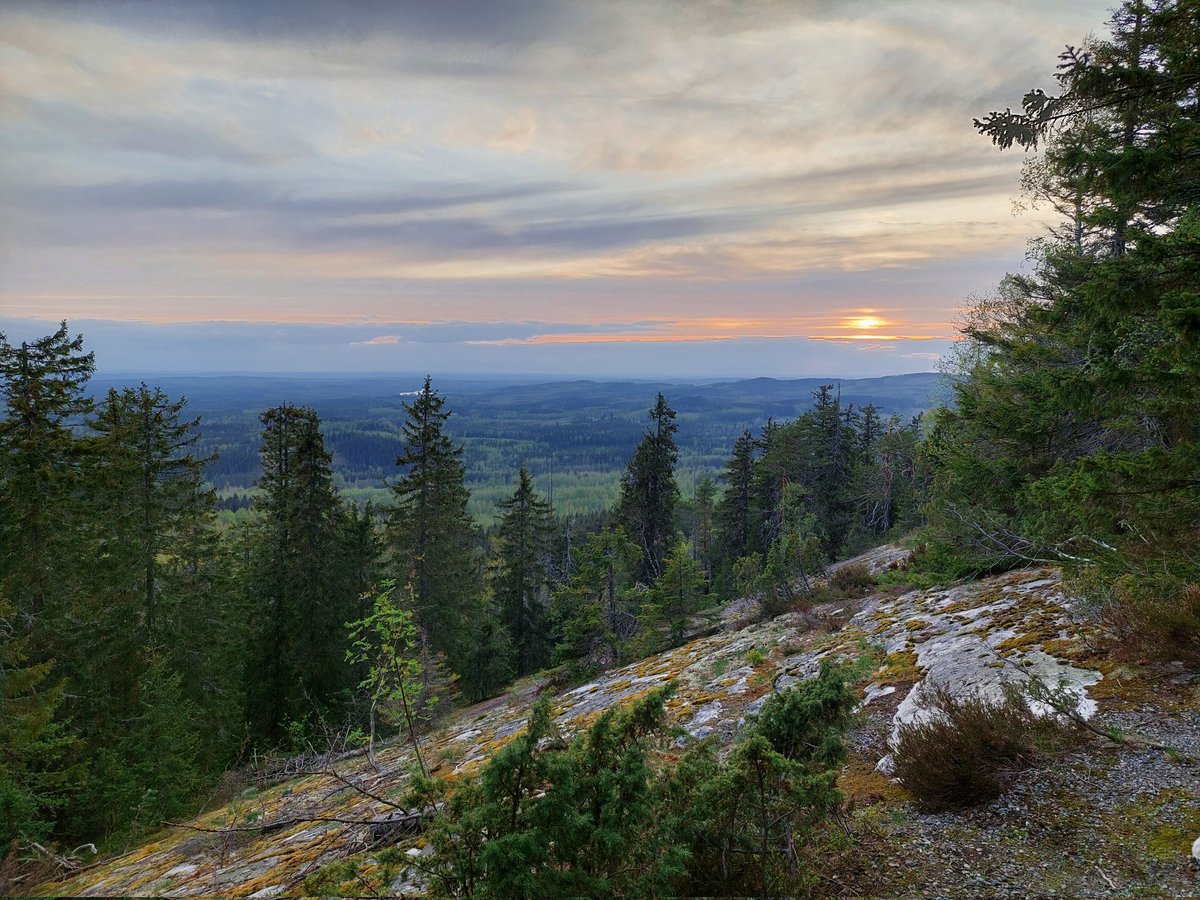 AnneKarhap's tweet image. Koli toukokuun auringonlaskussa, voiko olla parempaa 💚 #Koli