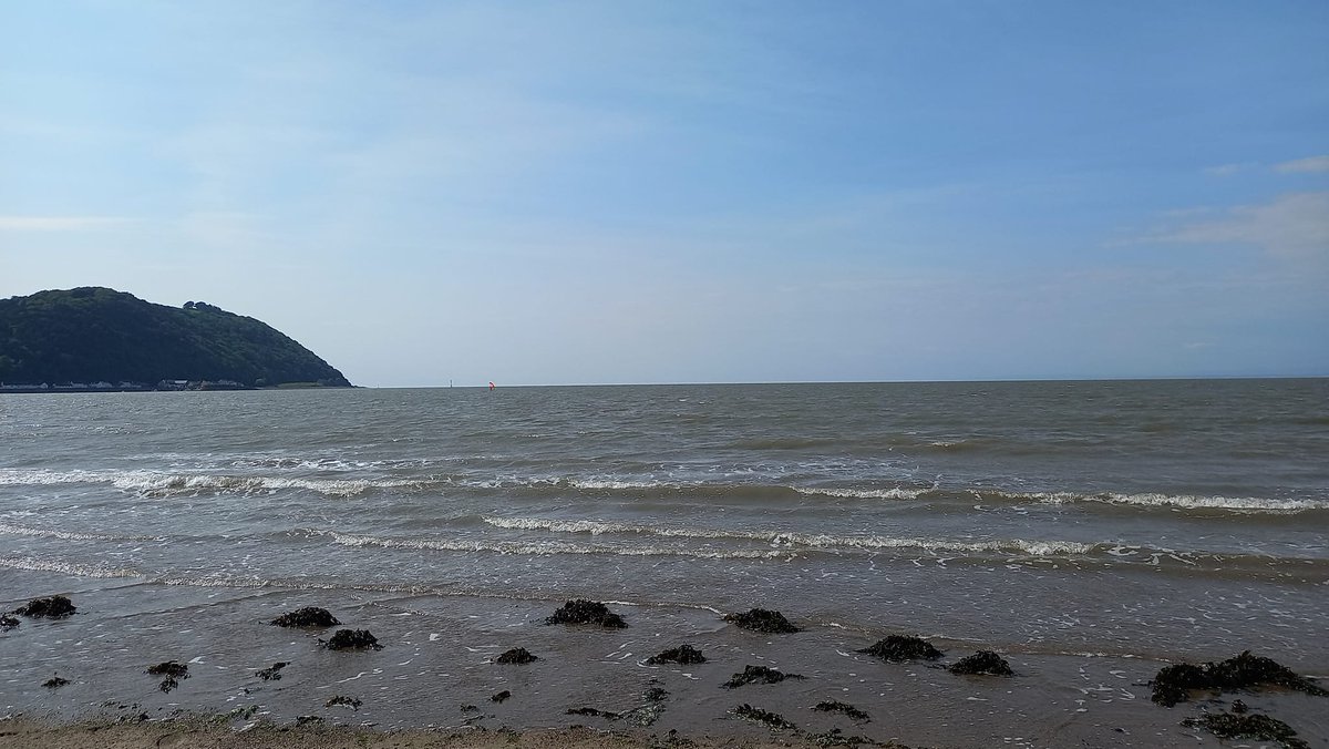 Rachel Goodfellow tweet media