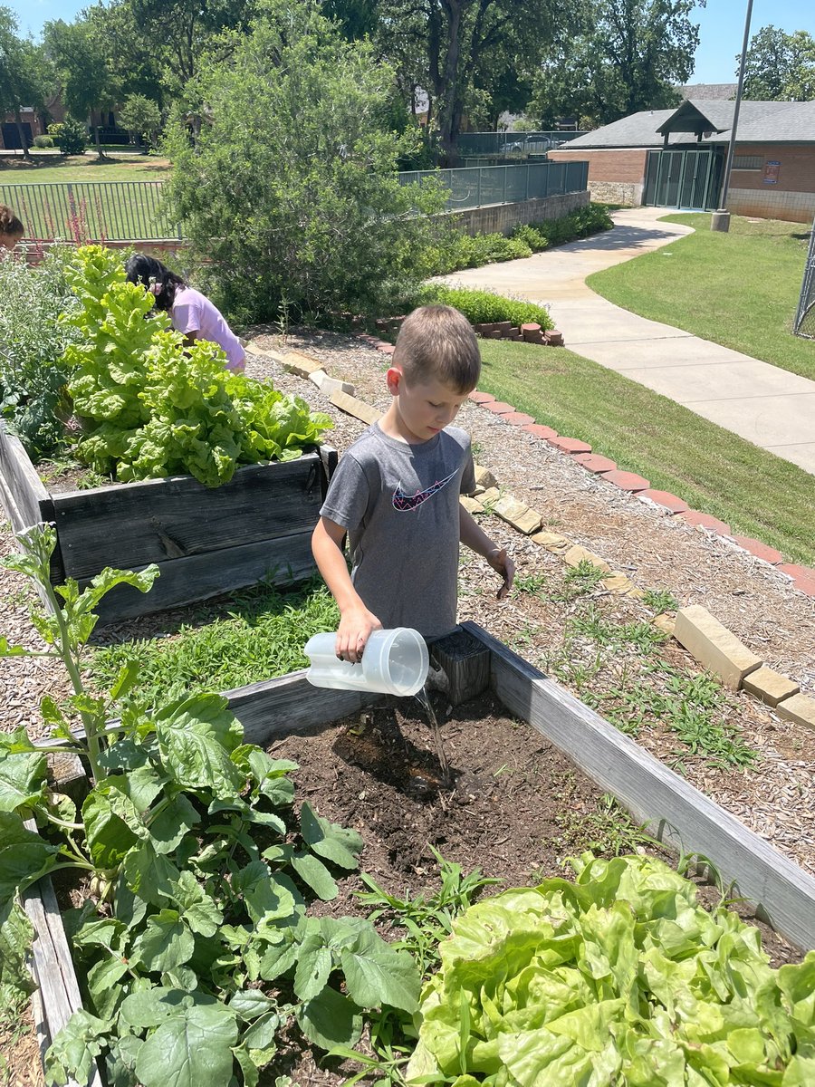 GESGanus's tweet photo. Making sure our garden beds are the perfect home for our worms. #GESshineon https://t.co/VGc1lL0bfV