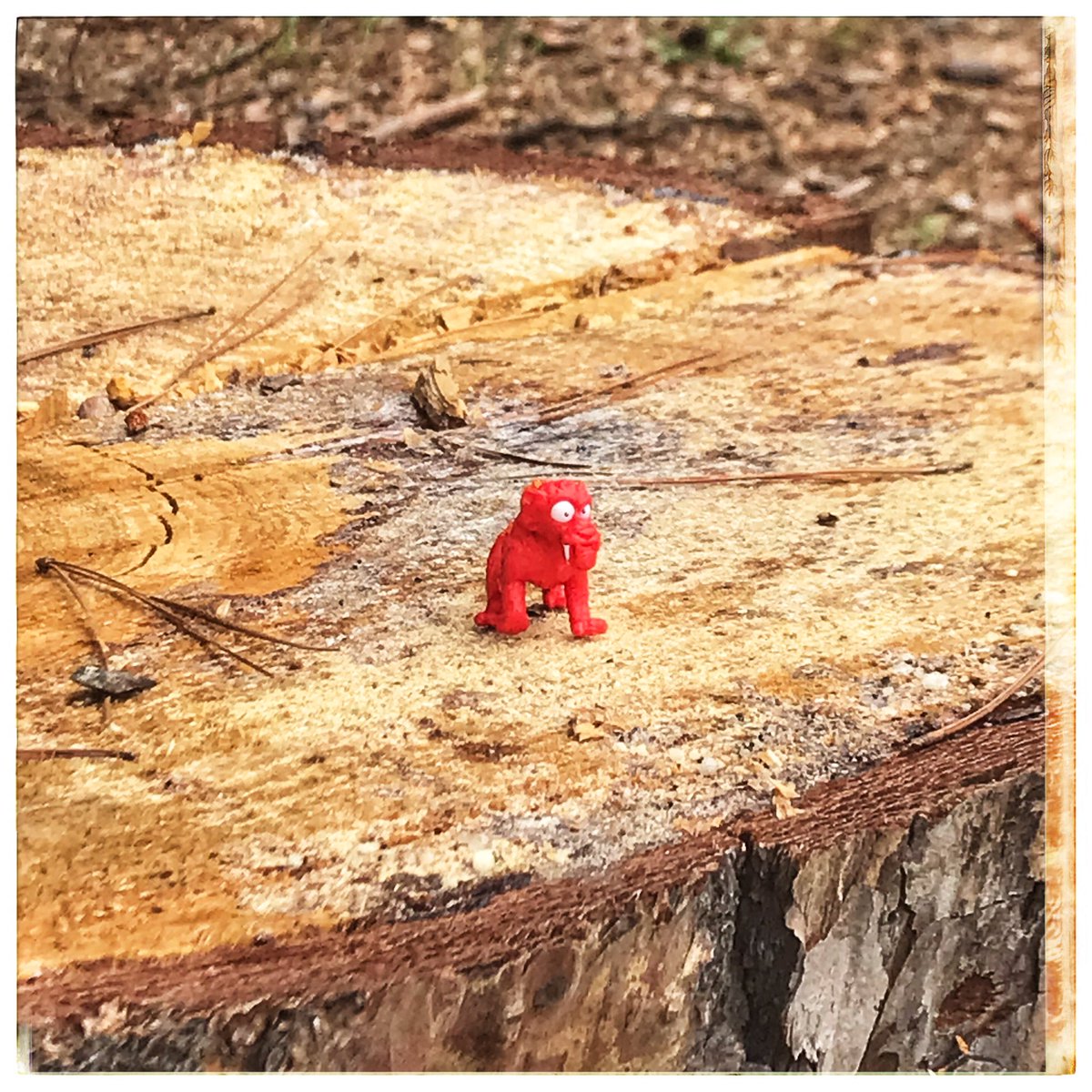 PriceReep's tweet photo. #stumpcreature, #foundart, #cammackcampus, #intheheightslr https://t.co/eXNybzVdYK