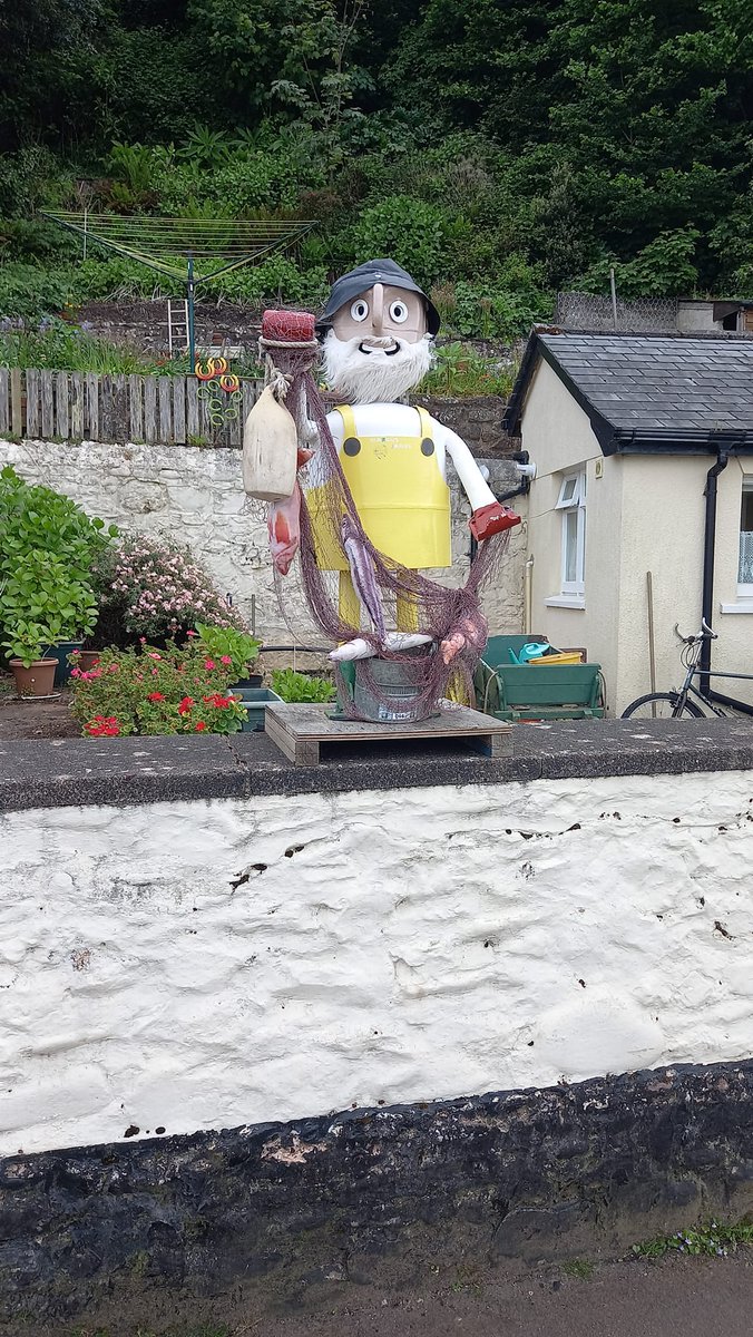 Rachel Goodfellow tweet media