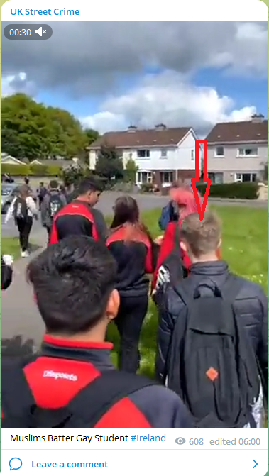 DrMarianaClaire's tweet photo. #VinnieSullivan aka #TheRealityReport " Muslims Batter Gay Student " So you kno the religion of this white kid with blonde hair who through the first sucker punch from behind ? Like #TommyRobinson you really need to watch the video agai. Majority of those attacking were white. https://t.co/rvUbkxTu0o