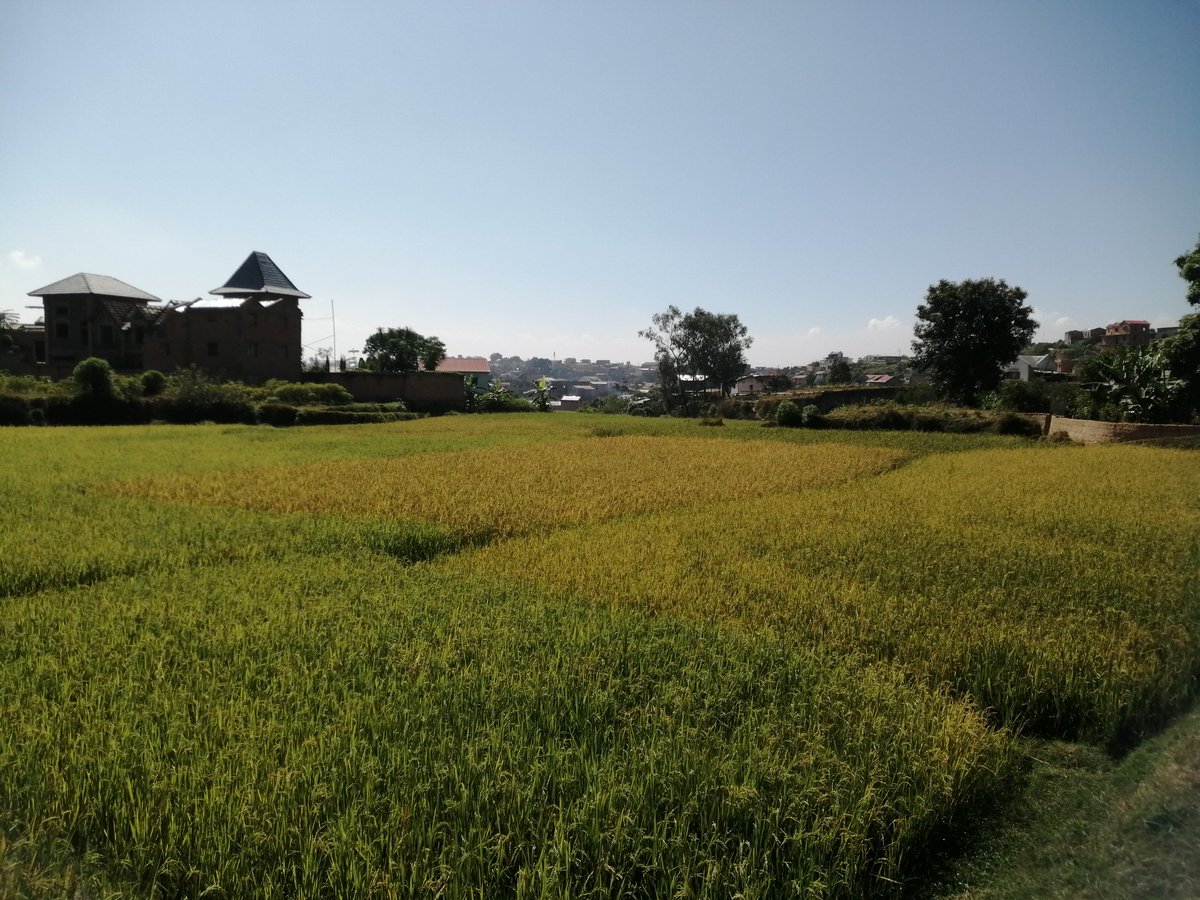 Ny zavatra tsy miaina ihany no fitahiry fa ny aina velona kosa mila fahanana sy ampiasaina...