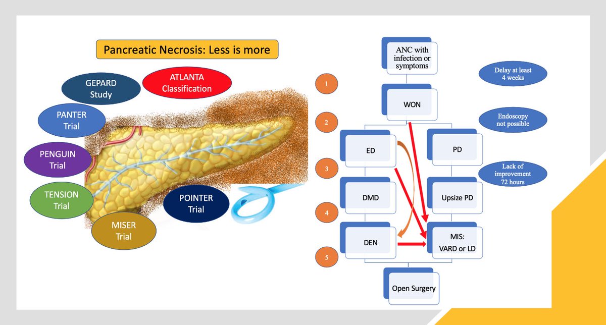 mayankroy's tweet photo. https://t.co/bckyHuiss5
@CleveClinicFL @LabKocher 

Review of necrotizing pancreatitis https://t.co/BuKnI5MqOg