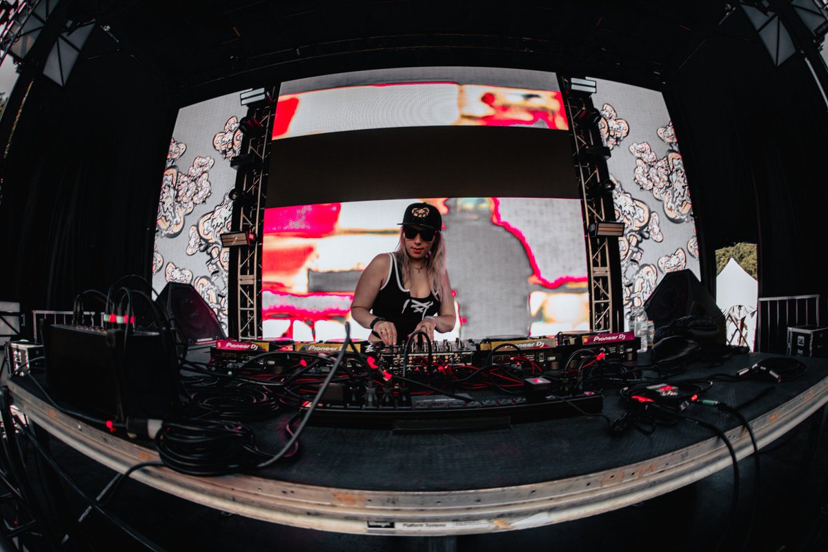 Bass Waffles tweet media