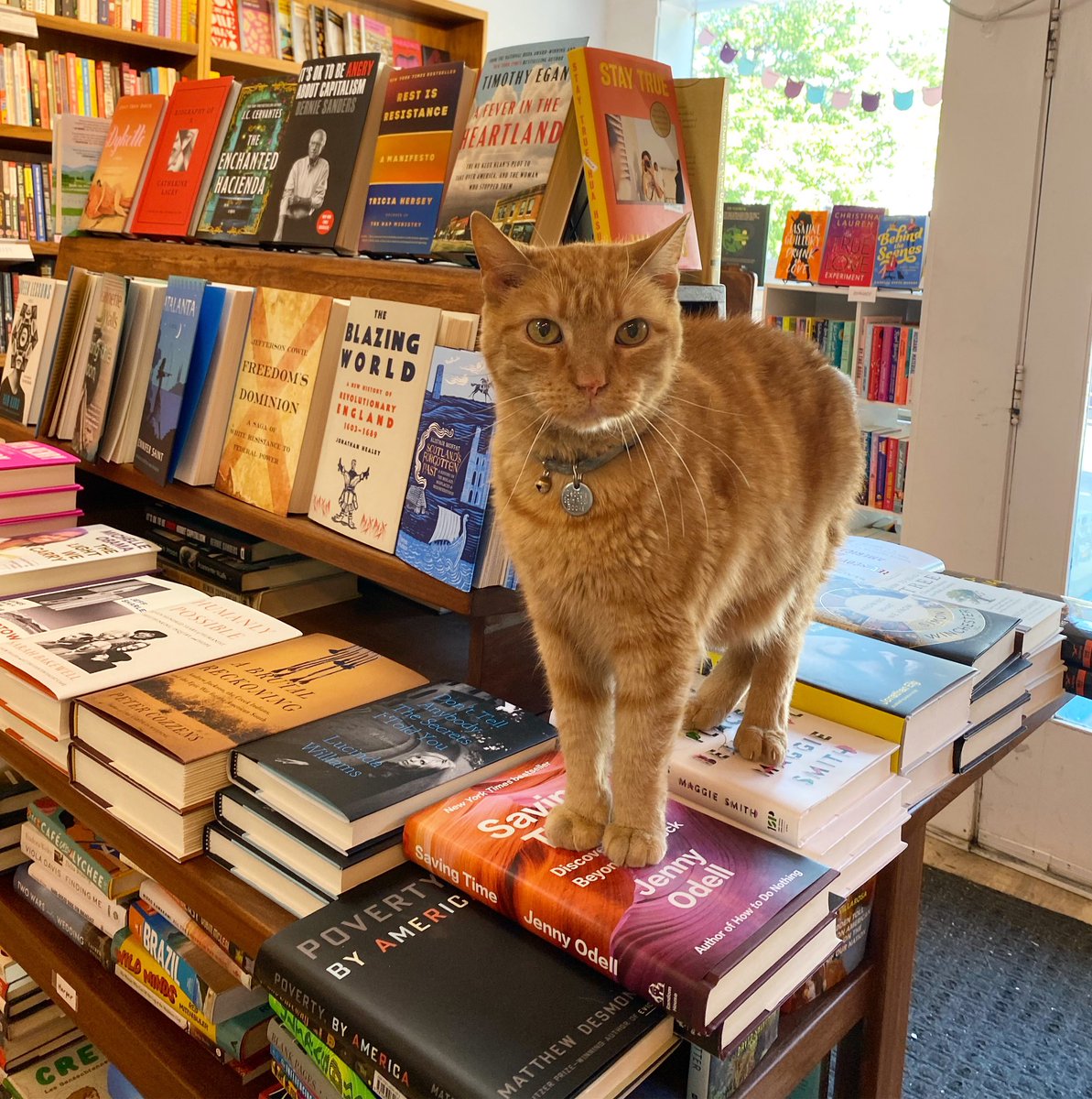 What’s YOUR baby up to?