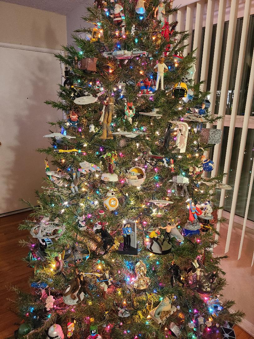 WarpedTrek's tweet photo. @petertrek1 @lisatsunami @GatorNorthern @SubcommanderT @coffeenol @neilkid75 @icrow27 @jillsville7 @JeffNJ1701 It still makes an appearance on the Warped tree every year! https://t.co/cUVMlquxuI