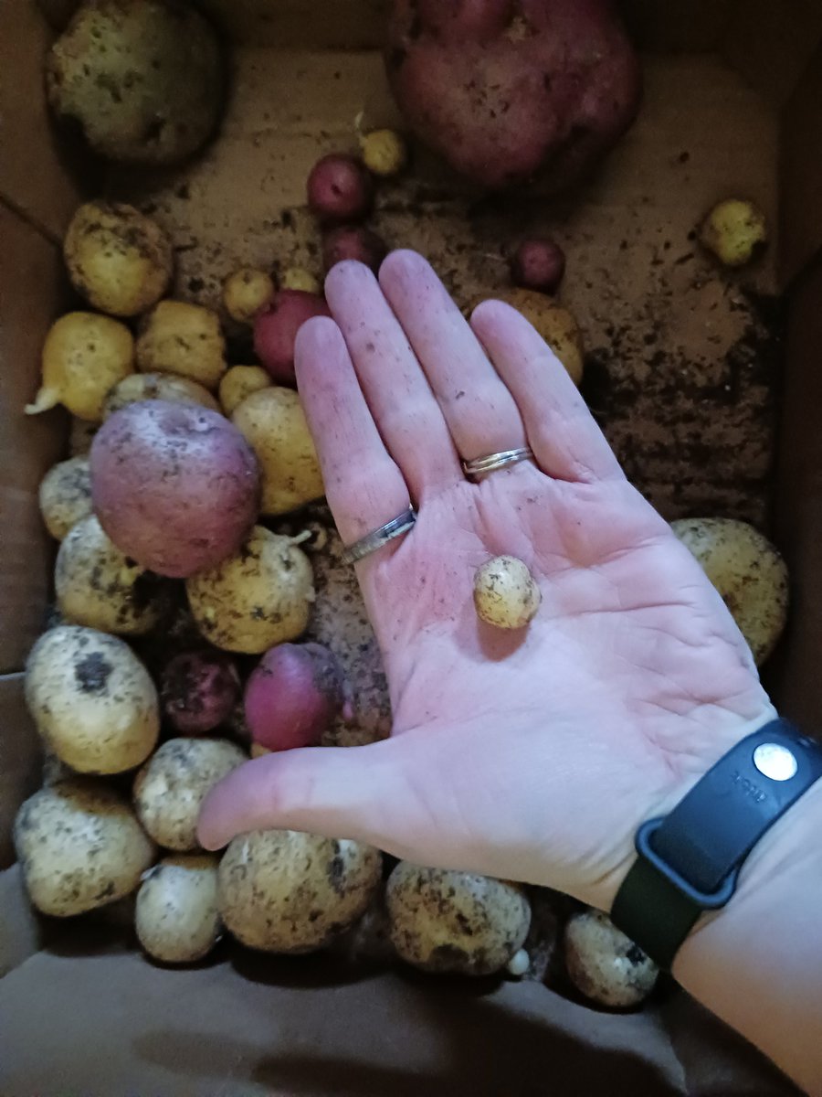 Mrs.EArnold tweet media