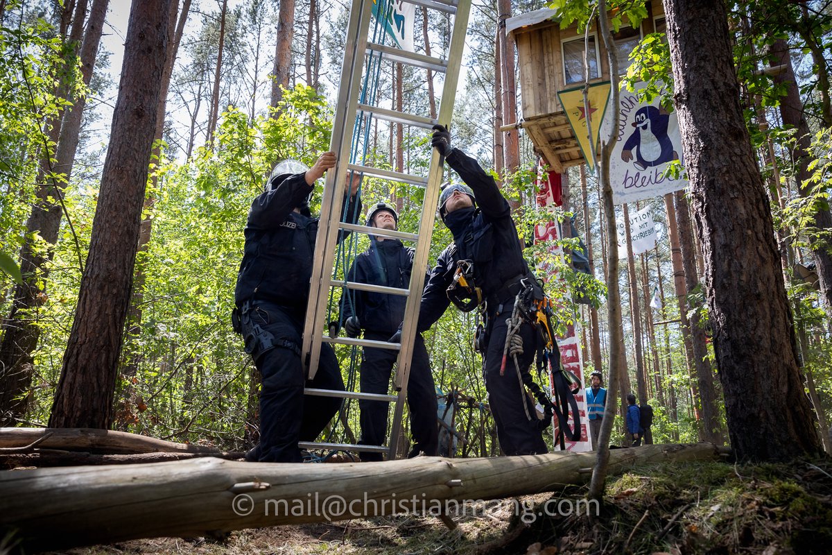 chr_mang's tweet photo. #Räumung der Waldbesetzung in der #Wuhlheide aus Protest gegen geplante #TangentialeVerbindungOst. #Wuhlibleibt #WuhlheideBleibt #Berlin #b1705

https://t.co/VRsXeMJuup https://t.co/zxzZmPgcII
