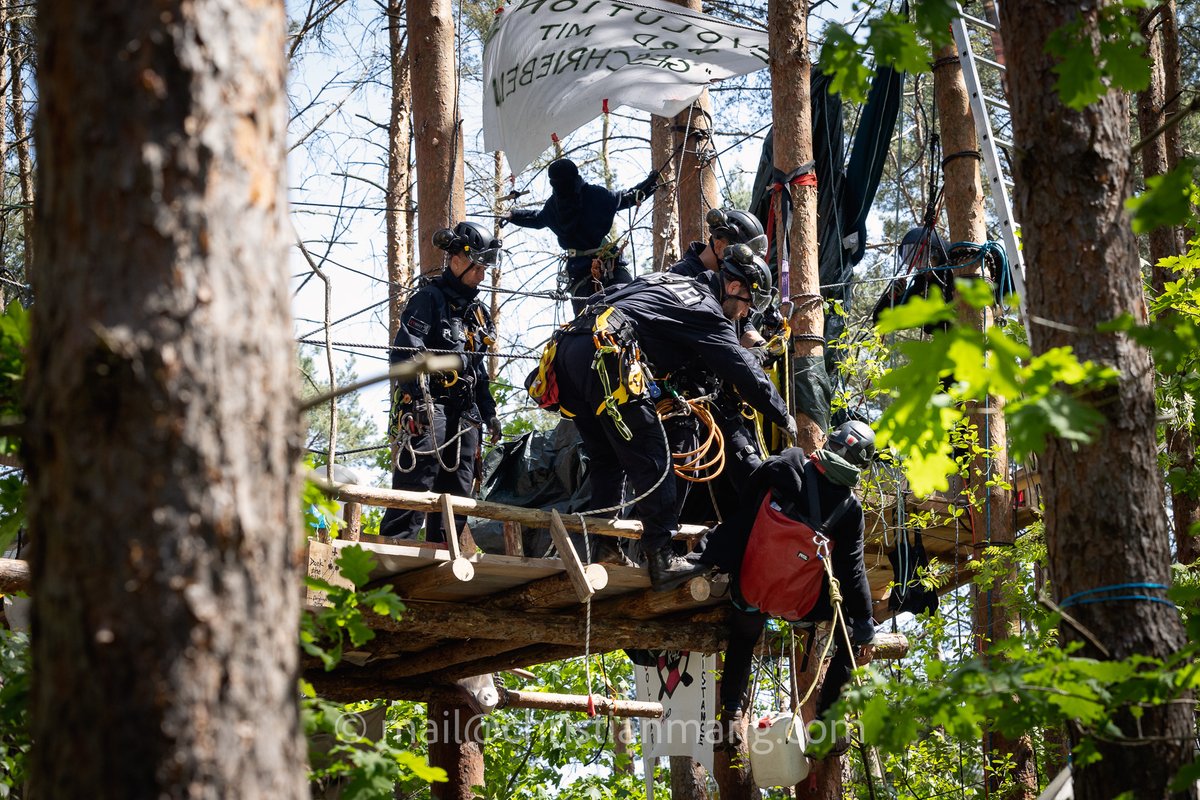 chr_mang's tweet photo. #Räumung der Waldbesetzung in der #Wuhlheide aus Protest gegen geplante #TangentialeVerbindungOst. #Wuhlibleibt #WuhlheideBleibt #Berlin #b1705

https://t.co/VRsXeMJuup https://t.co/zxzZmPgcII