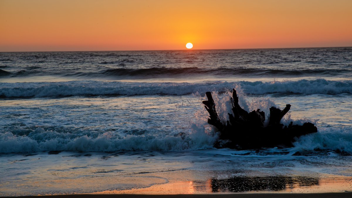 InnSpanishHead's tweet photo. Join us for an Early Summer 
Get A Way on the Oregon Coast! 

Stay 2 Nights Get your 
2nd night for 50% Off.
Now through June 29th 

call 541-996-2161 for more details

https://t.co/MgjEf8oSnI https://t.co/leS6sFujNk