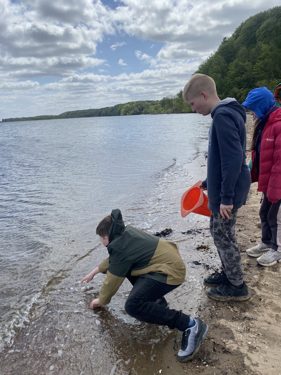 OakyDenmark's tweet photo. Today we visited the local beach where the children absolutely loved exploring and collecting shells! They were also fascinated by the flotsam! 🦀 🌊 https://t.co/3il3LcyHgA