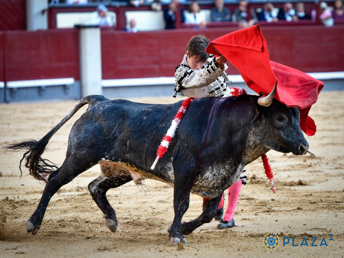 Christian Parejo:

Muy por encima de su lote, el primero fue muy difícil. En su segundo hizo la mejor faena de la tarde. Es novillero con muchas ganas y muy centrado en lo que hace, lástima que no tuviera embestida, serían otras palabra. (Silencio y Saludos) #Madrid #SanIsidro
