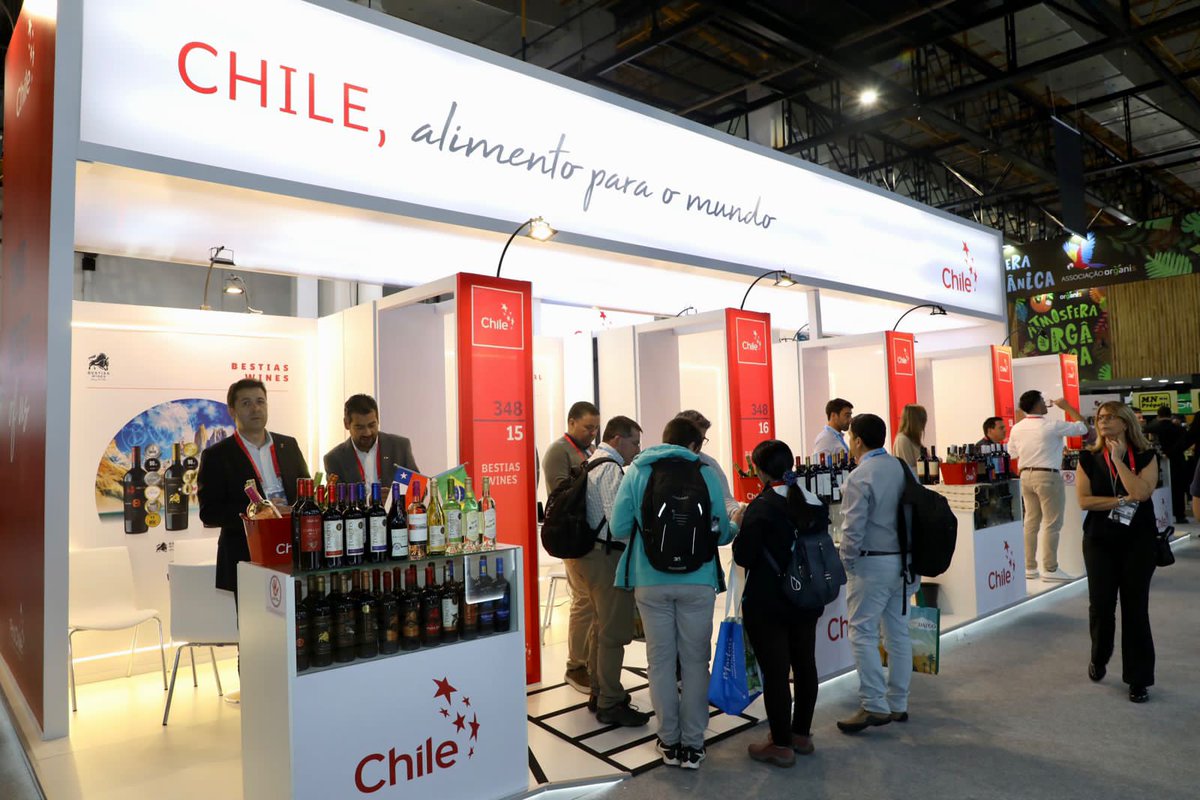 ProChile Brasil tweet media