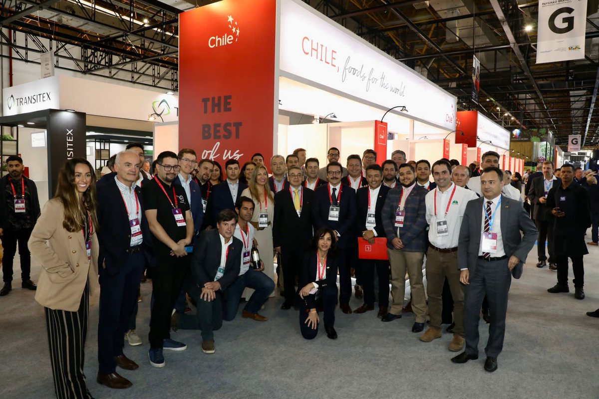 ProChile Brasil tweet media