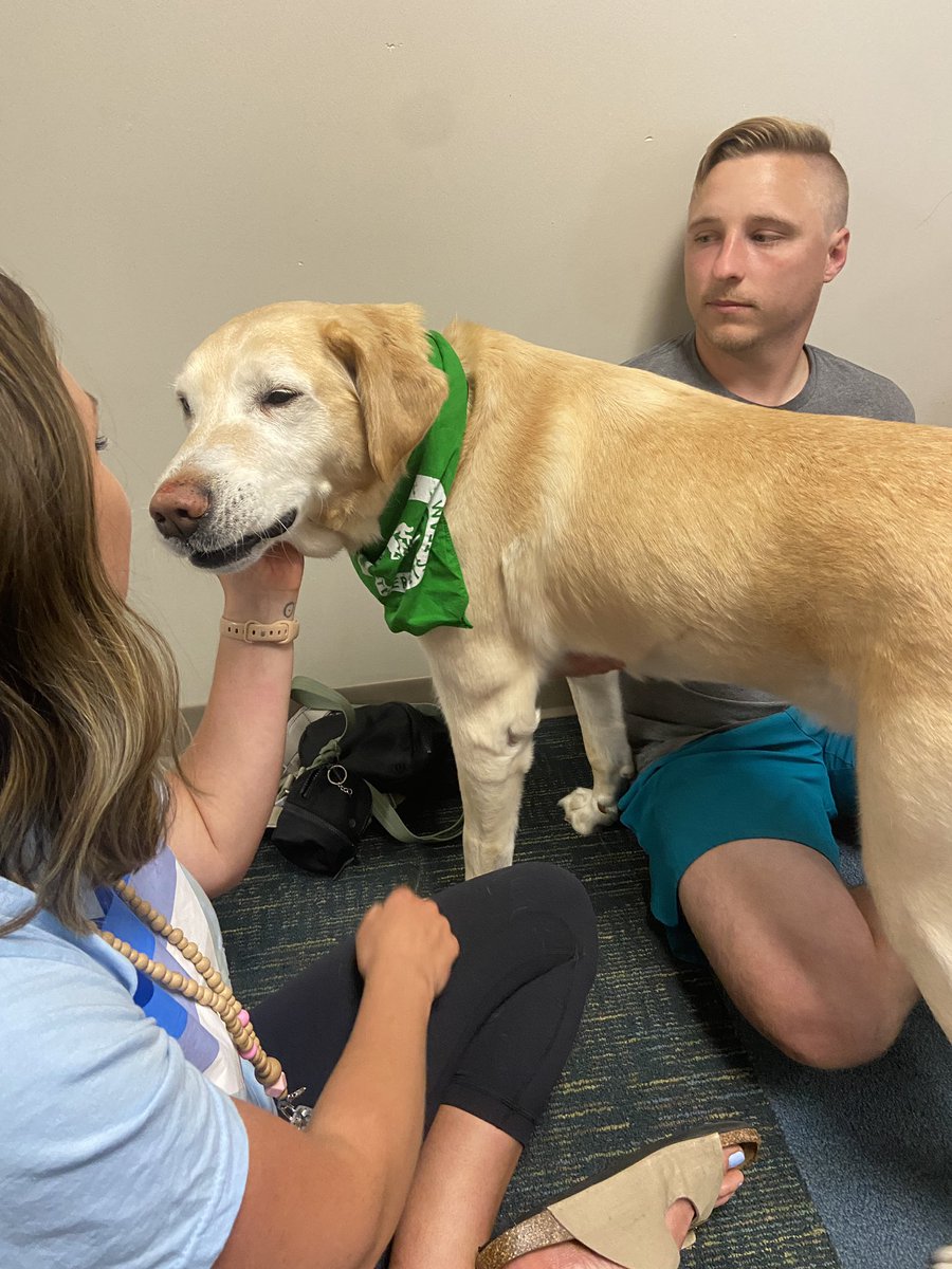 PEforlife's tweet image. For professional development today we had the opportunity to take a meditation session and play with some pups! Going on a walk next 😊 @ChadJamison07 #shulershines @ali_locker #selfcare