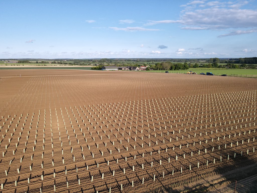 Time for something a little different on the farm….after many months of planning and 4 days of planting @BrecksVineyard is born! Please follow and allow us to share our experiences #vineyard #englishwine #diversification