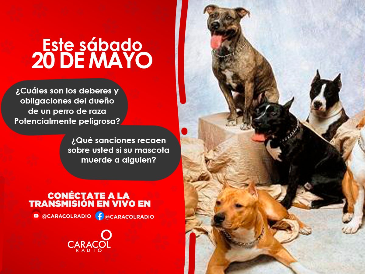¿Cuáles son los deberes y obligaciones que debe cumplir el dueño de un perro de raza potencialmente peligrosa?

Los detalles este sábado a la 1pm en #MascotasCaracol.

Dirige: <a href="/MarkLeeOficial/">Mark Lee</a>.