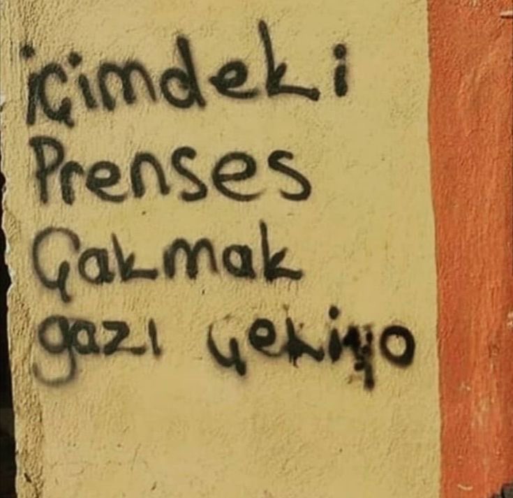 sokaktan alıntı (@ntsokaktan) on Twitter photo 