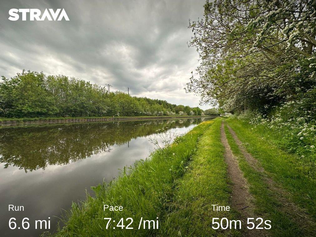 LittleJoeRunner's tweet image. Another cracking evening on the trails.