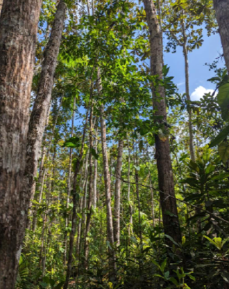 📣Exciting three-year #PDRA available with me @CranfieldEnviro & @CranfieldAgrifo.

🌴Assess key environmental and ecological drivers of regional #methane dynamics

🇵🇪 Fieldwork in Peru, with @aberdeenuni  & @IiapPeru  
🌎Apply here: tinyurl.com/58nj4e89 
#PeatTwitter #PeatECR