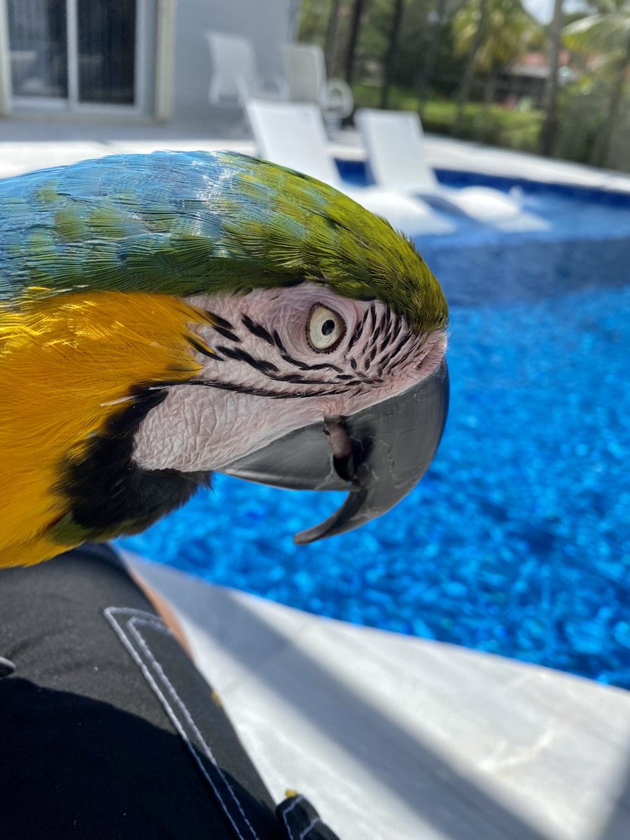 Working from the “branch” office today. Had to go to the main office yesterday and they said “you’ve got some sun”. 🤷‍♂️