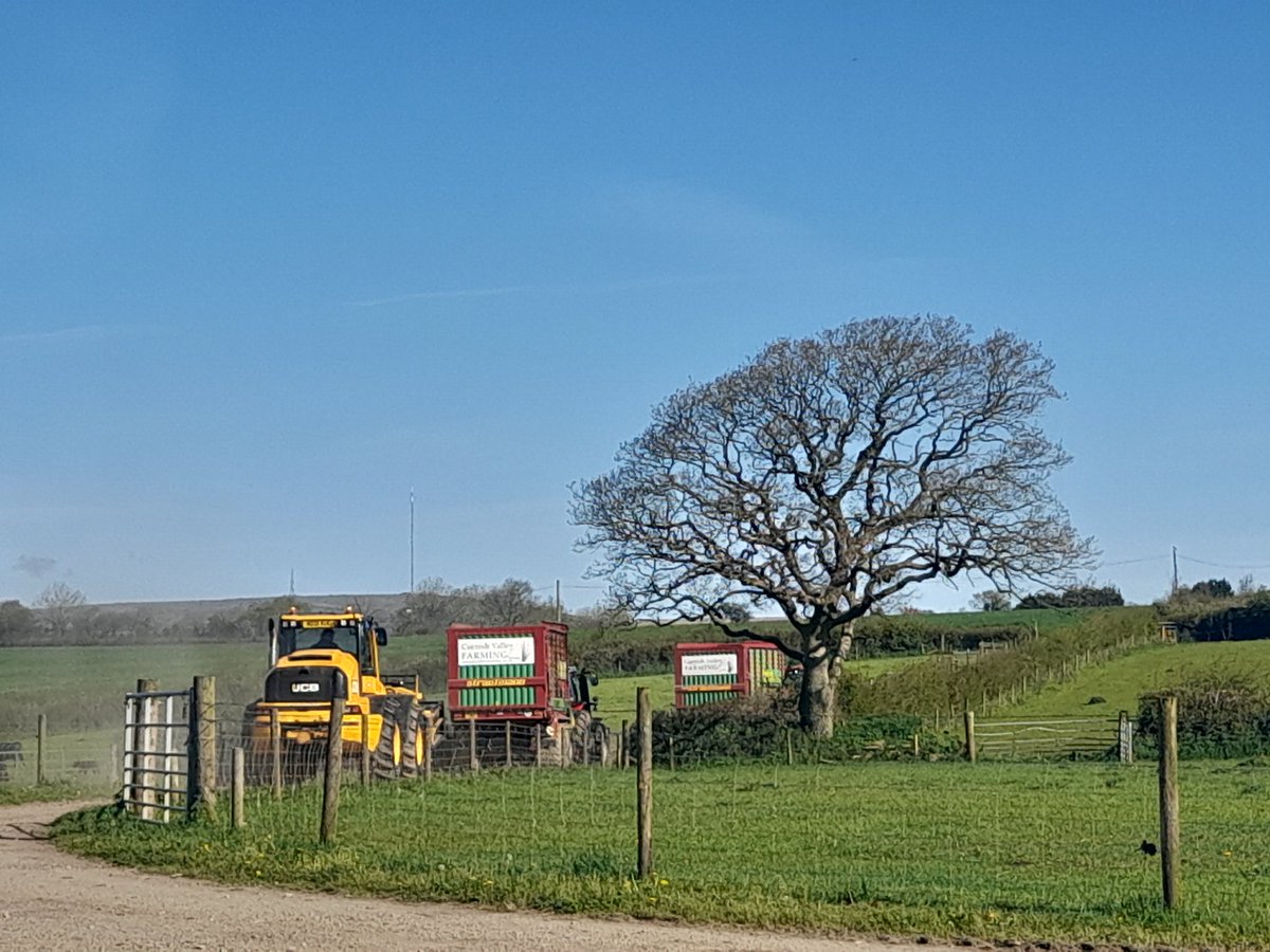 HallidayLou's tweet photo. They went off again today. What's the phrase... make hay while the sun shines (or, in this case, silage)!
#silage23 #silaging #foragewagons #jcb #sunshine #Cornwall #farming #grass #wagon #buckrake #silage https://t.co/E2HRl4T6Qf