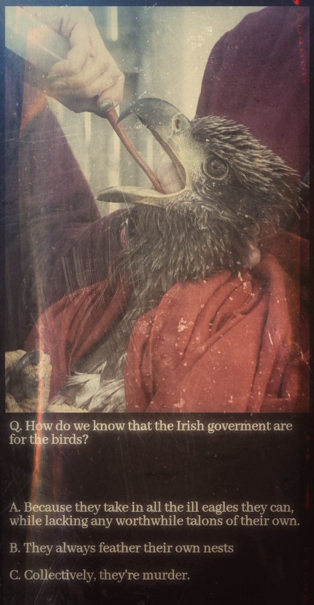 museumsireland's tweet photo. @thejournal_ie They should've flown South after getting symptoms. Our #NGOvernment welcomes anything that lands here. They've spent billions of Taxpayers' money, caring for thousands of ill eagles..

#IrelandisFull of cuckoos https://t.co/qlmbF0a2Kg