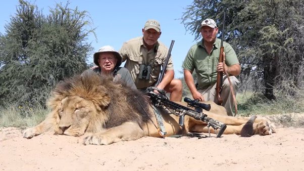 XposeTrophyHunt's tweet photo. A disturbing video showing a male captive-bred lion being shot with a crossbow, before finally being killed by multiple bullets fired by the Professional Hunters (PHs) with a rifle, has been used to promote discounted “canned” hunts in South Africa. 😡
https://t.co/ECtO0Der1S https://t.co/dFyDn0w5RD