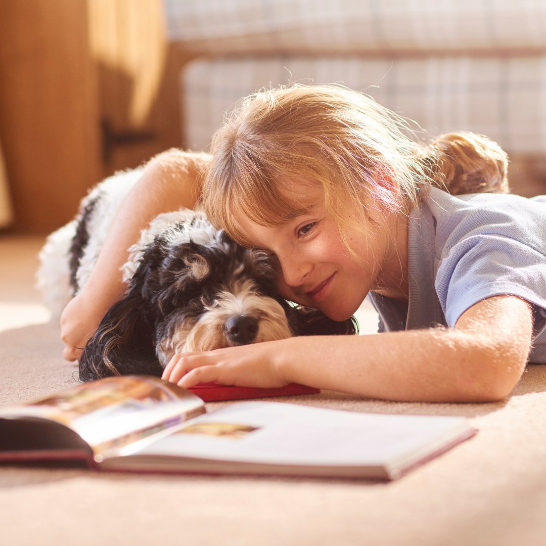 WRLibrary's tweet photo. Everything is more fun with a fluffy, four-legged friend - especially reading! Drop in to read a story to trained therapy dogs, no registration required at 2:30 pm on Sunday, May 21, at the Williamsburg Library. #PawstoRead https://t.co/TpNHDJBceV