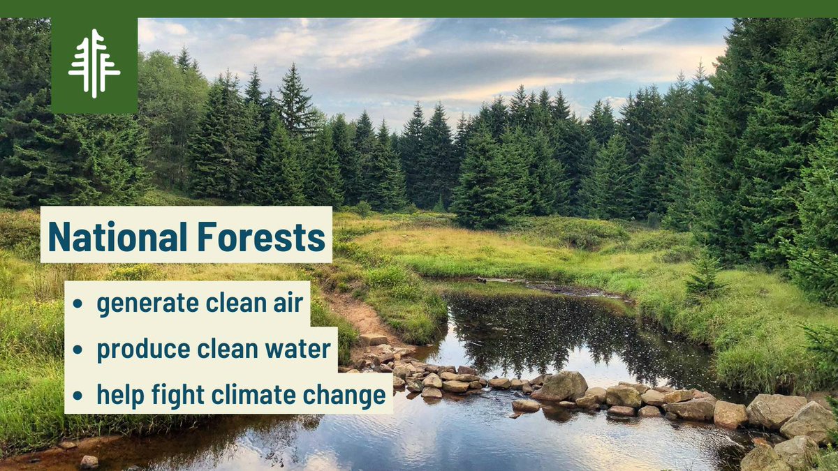 NationalForests's tweet photo. 🌳 Healthy Forests = Healthy Planet 🌎 Forests help fight climate change and provide clean air, fresh water &amp; much more. Help protect these essential resources by setting up a monthly donation that will sustain your impact on #NationalForests: https://t.co/on4PTmvrN1 https://t.co/qiFFoCNg1V