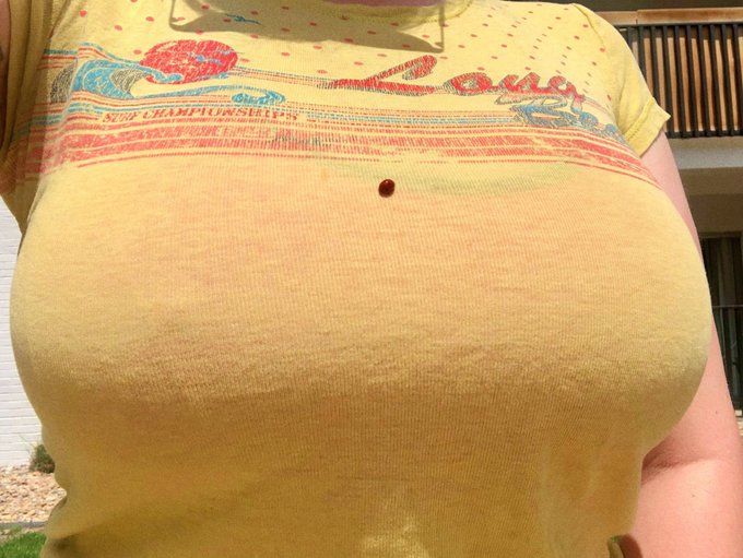 a lady bug landed on my titties so that means extra good luck right? https://t.co/TfpldbmwjL