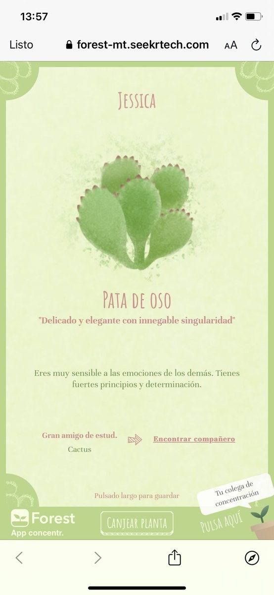 Ofelia tweet media