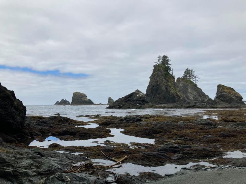 InTheBay2014's tweet photo. Shi Shi #PNW #WashingtonState #ocean #beach #hiking #backpacking https://t.co/gutTQ5hqFm