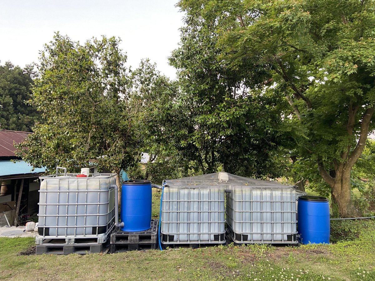 minefarm995's tweet photo. 複合醗酵バイオシステム

上下水道が不要

浄化槽の水が飲めるようになる

やればやるほど環境が畑が地域がよくなる次世代のインフラ

誰でも実践可能

面白い時代 https://t.co/XXCoA7K38d