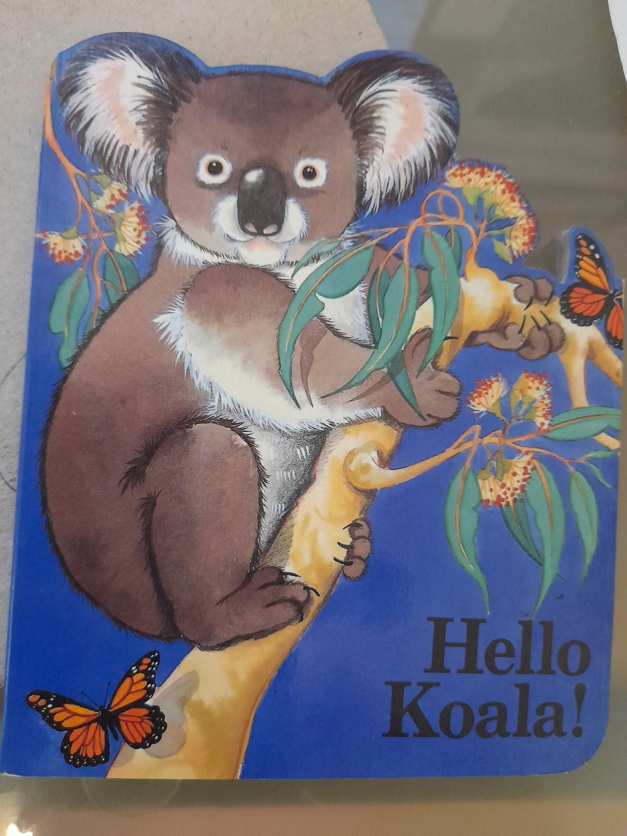 KHSRC1's tweet photo. Hello #Koala β it is a fold-out #book. Must be time for someone to write an analysis on koala #kids #books?
π¨πΏ
#ThursdayThoughts #thursdayFeels #KoalaKids #KoalaBooks #KoalaStuff #KidsBooks #Research #TBT #HelloKoala https://t.co/5P8LpiUjwD