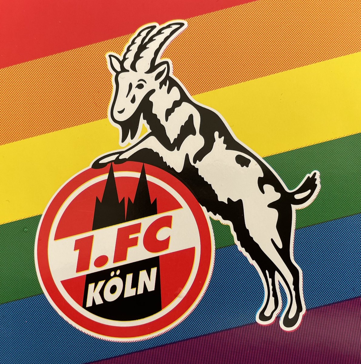 schoti75's tweet image. Lebe, wie Du bist!
💜💙💚💛🧡❤️
#effzeh
#IDAHOBIT2023