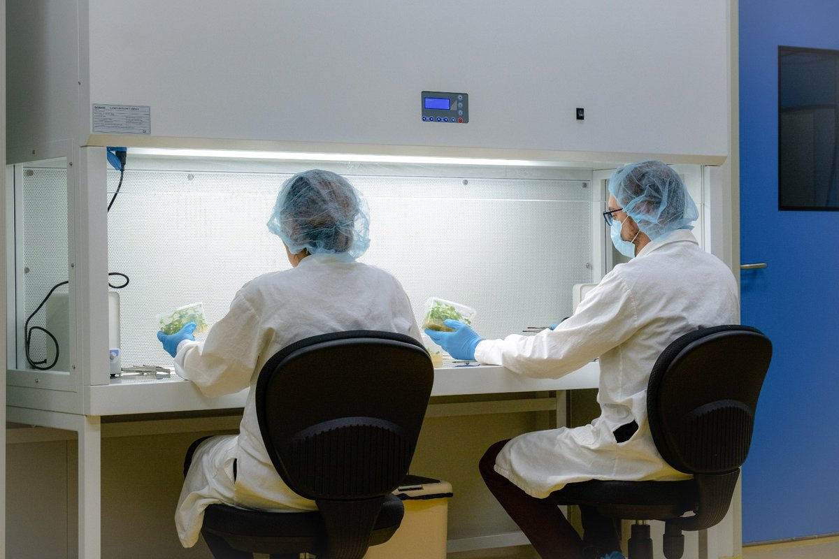 GreenLab Biotechnology tweet media