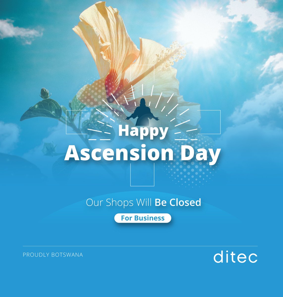 Ditec tweet media