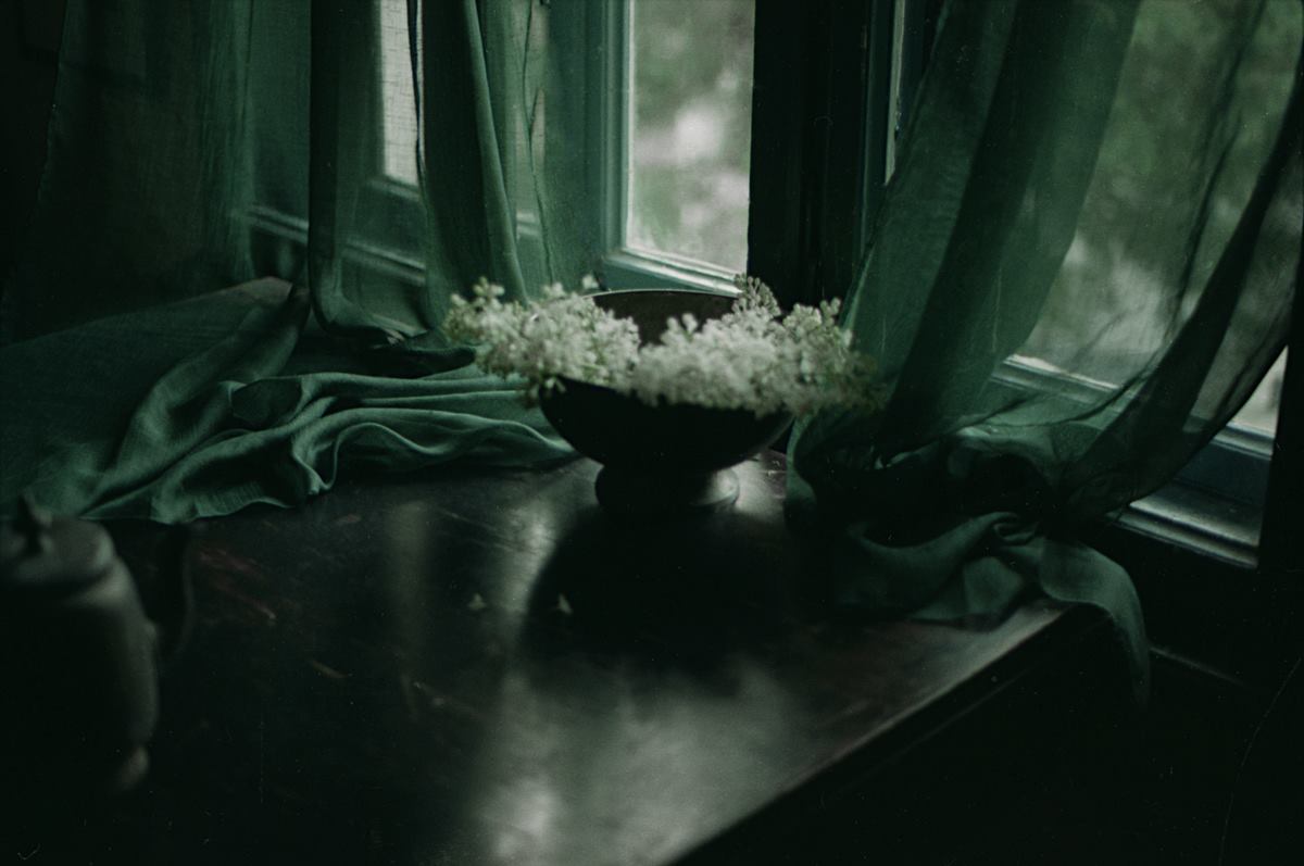 HossainNilofar's tweet image. .

“Every thing you love 
is very likely to be lost,
but in the end, 
love will return 
in a different way.”

― Franz Kafka
.

Katia Chausheva
.