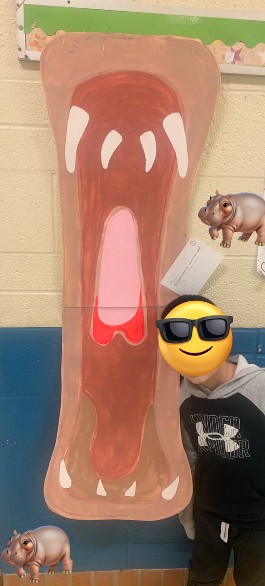 Grade1F's tweet image. Thanks to Gr 1 parents for helping us show our learning about chosen topics of interest in creative &amp;amp; detailed ways &amp;amp; for helping us to prepare for our non-fiction book talks.  L’s model shows us that a hippo can open its mouth 4 feet which is about the height of a Gr 1 student.