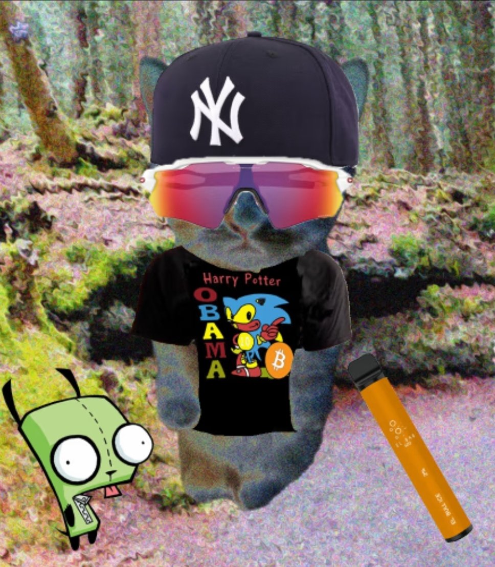 apexdegen33's tweet image. @kibblemaker #kibbles to 1E is the most obvious play around.
@miladymaker @REMILIONAIRE @xbtGBH Need a pet?