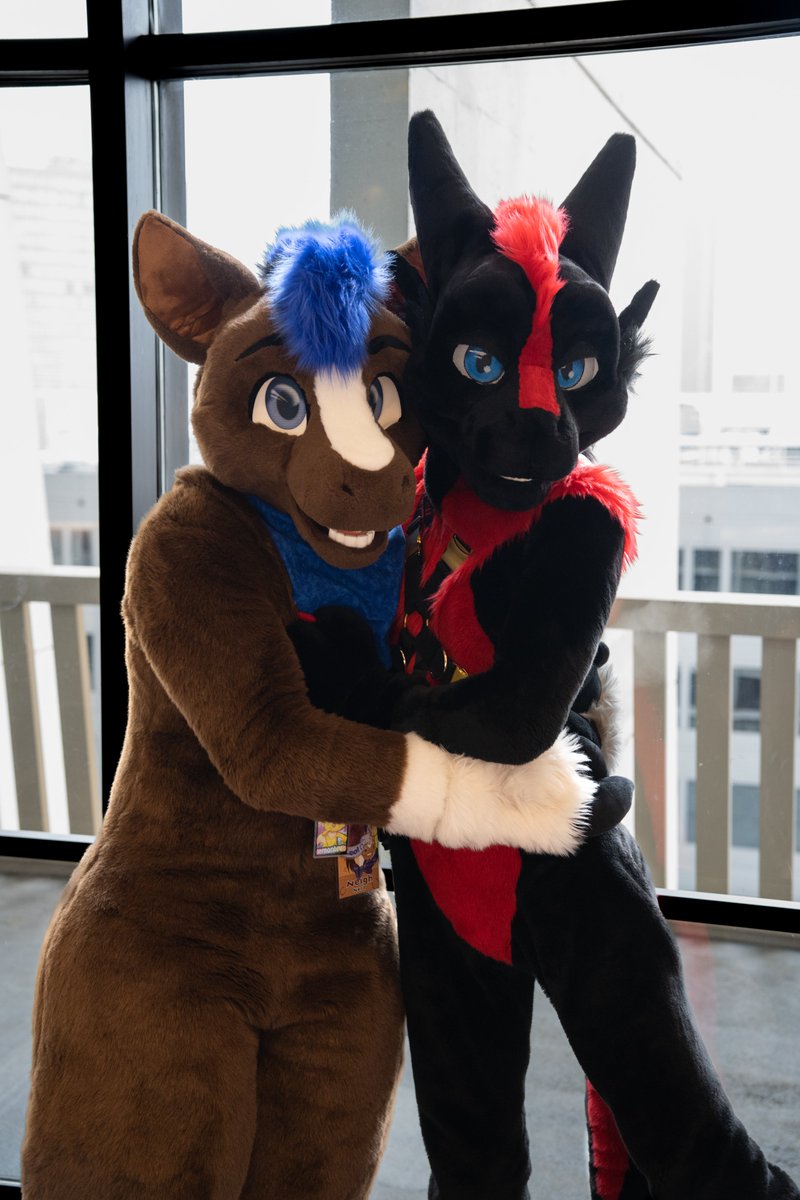 Swiftfeather tweet media