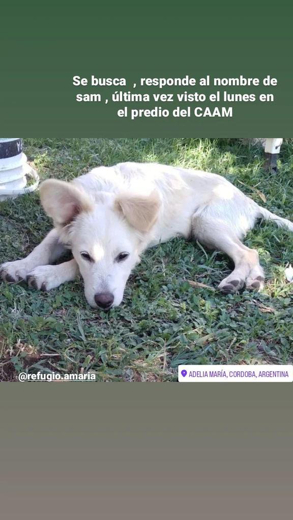 Maxi (@maxiontii) on Twitter photo 