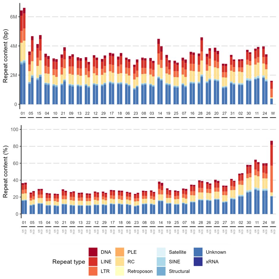 AndyB48941593's tweet photo. @CharJWright This is fascinating, such cool work! I found something a bit funny when looking at my H armigera (Noctuidae) chromosome assemblies. The repeat density is higher in smaller chromosomes, but the absolute amount of repeats is pretty stable among autosomes? Could I get your thoughts? https://t.co/dbBZGxONeg