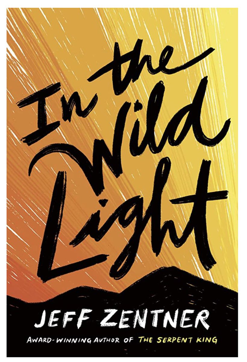So freaking happy that IN THE WILD LIGHT <a href="/jeffzentner/">Jeff Zentner Updates</a> is on my son’s high school’s summer reading list.
One of the best books I’ve ever read. 
And so glad I got to fan-girl at #Soky 
Jeff - hope to see you again soon!! 
#YA #readingcommunity #whattoread