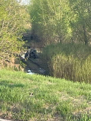 GreenwayGGF's tweet photo. Yep. That's a vehicle stuck along the riverbank in EGF. That's not allowed. Neither is cutting down trees on public property. But both activities happened in The Greenway this weekend. Illegal activities destroy public property and deprive others of enjoying these spaces. https://t.co/H2jhDtqKxv