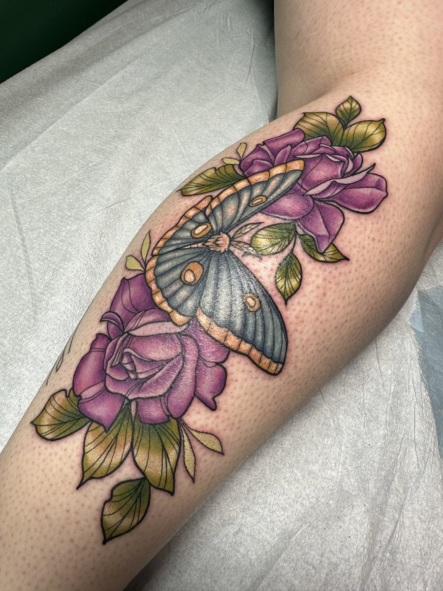 allyptattoos's tweet photo. 🦋🍃 https://t.co/UuOixaPRI5