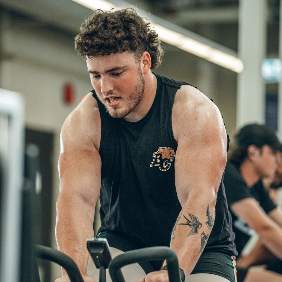 BC LIONS tweet media